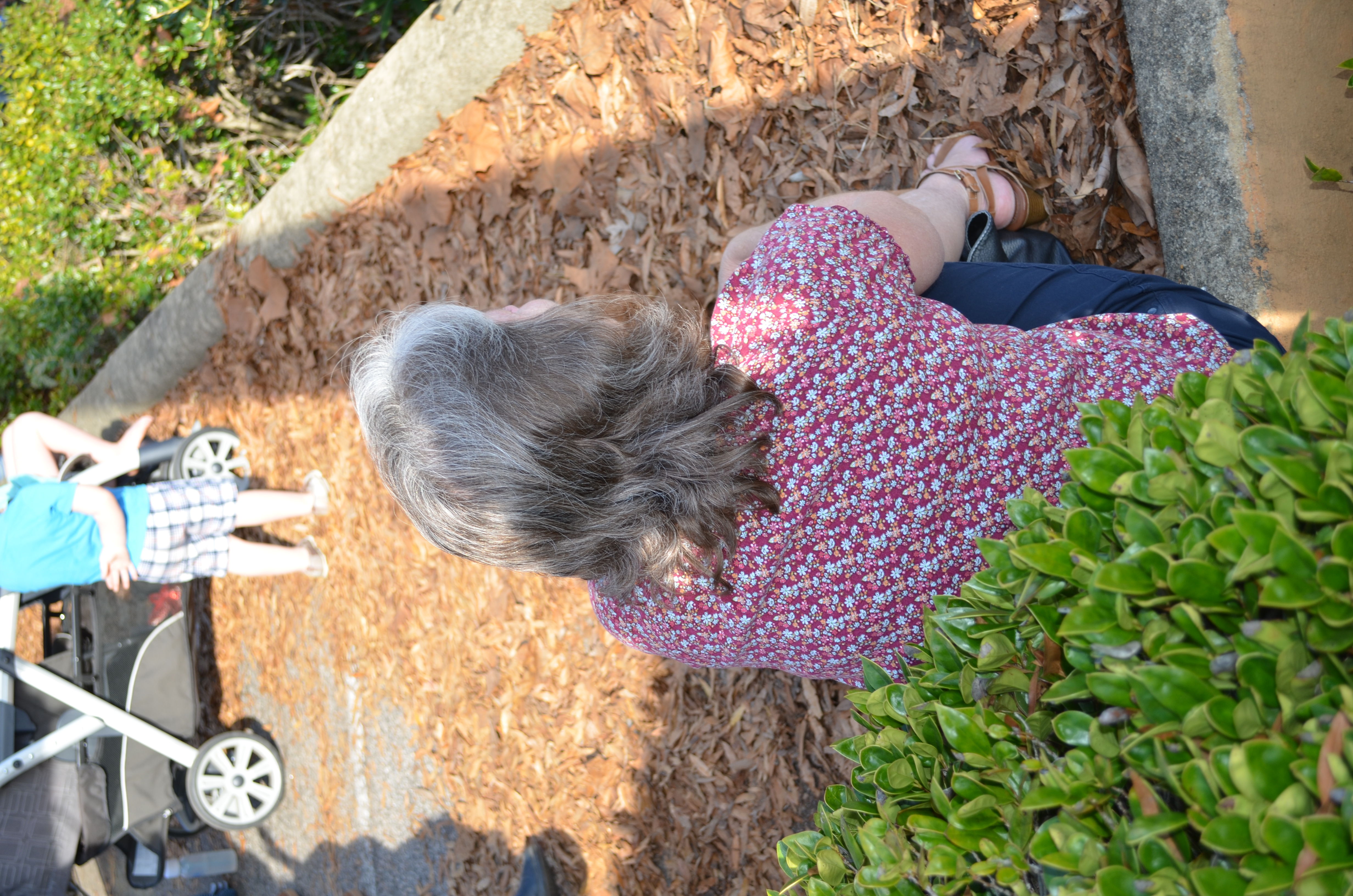 ./2015/31 - Wake Forest Christmas Parade/DSC_0162.JPG